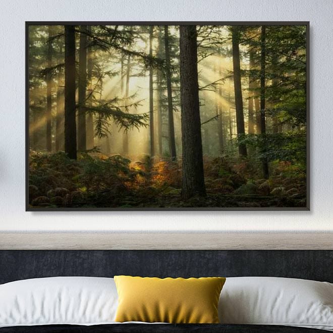 Muurdecoratie Licht Festival