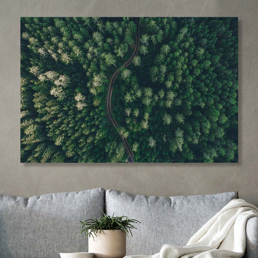 Muurdecoratie Weg door Bos
